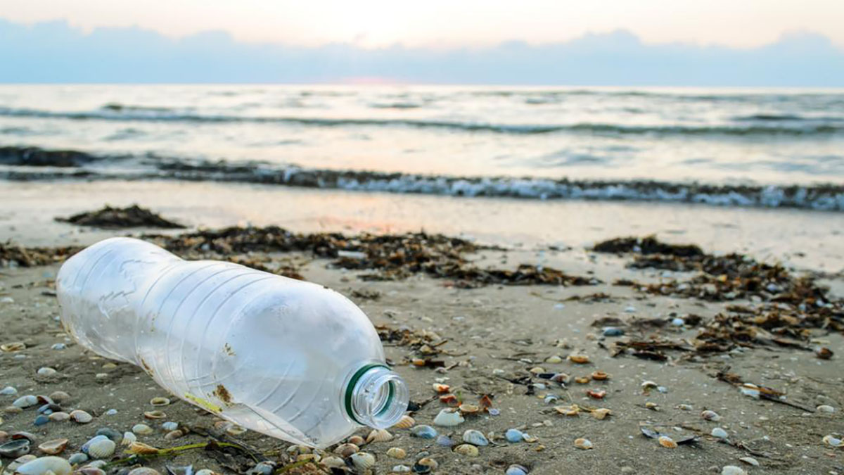 PET Bottle on Beach